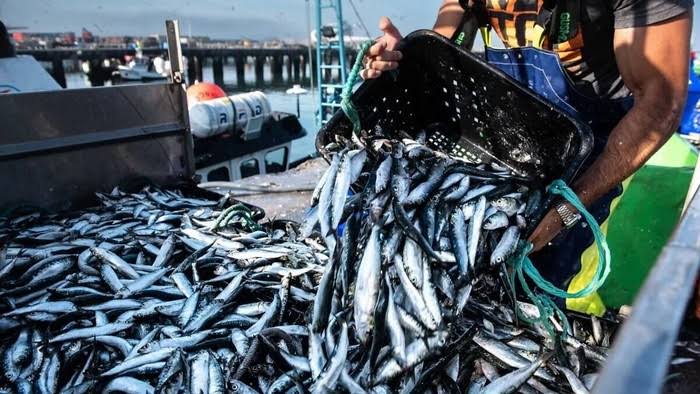 Actualités Économiques Marocaines en direct - LaQuotidienne